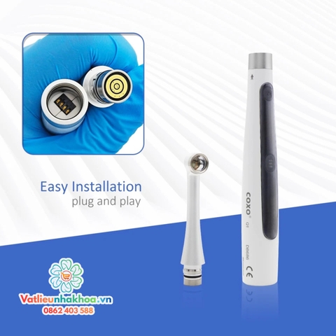 Đèn trám quang trùng hợp COXO DB686 Q1