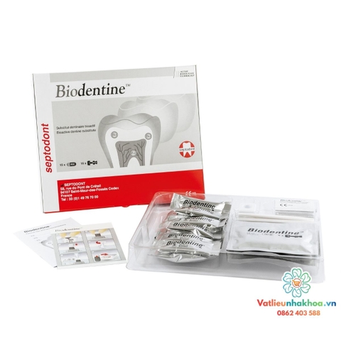 Vật liệu sinh học thay thế ngà Biodentine™ Septodont (Hộp 5 con)