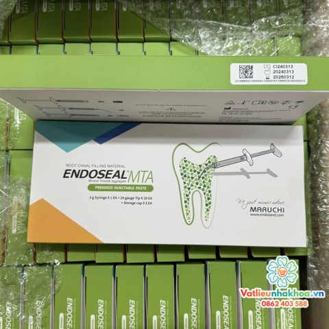 Vật liệu trám bít ống tủy Endoseal MTA - Maruchi