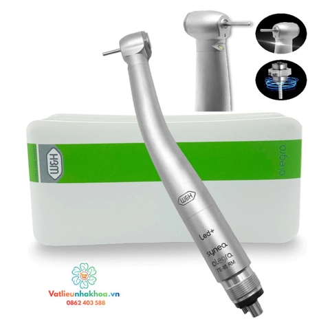 Bộ tay khoan nhanh W&H 1 đèn - 1 tia nước