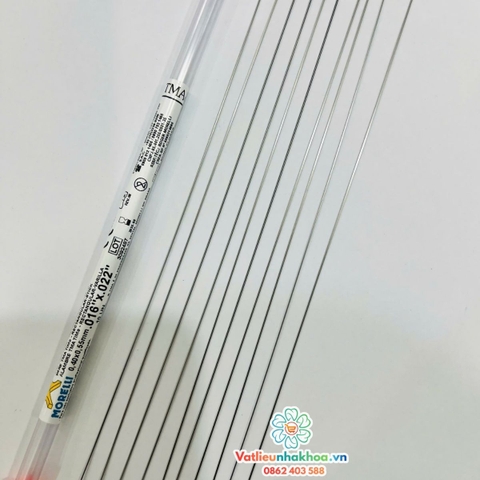 Dây thẳng TMA Morelli - Brazil