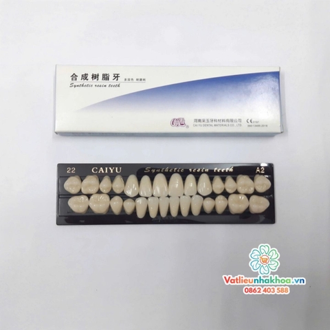 Răng nhựa nha khoa Synthetic resin teeth TQ (Hộp 28 chiếc)
