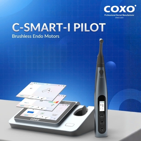 Máy nội nha COXO tích hợp định vị chóp C-Smart Pilot
