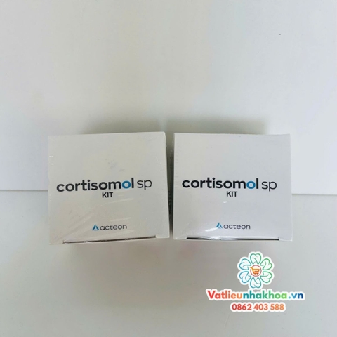 Cement trám bít ống tủy Cortisomol