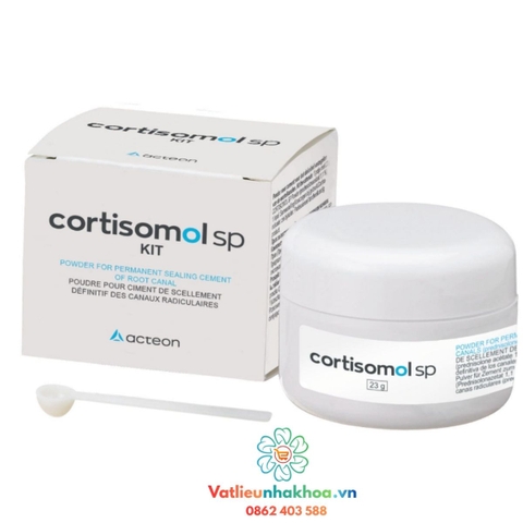 Cement trám bít ống tủy Cortisomol