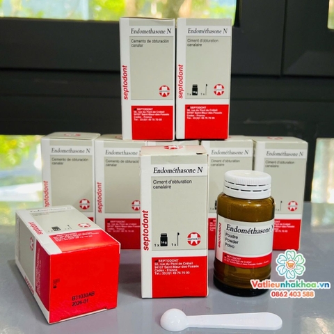 Cement trám bít ống tuỷ Endomethasone Septodont
