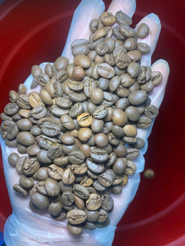 Cà Phê Rang Robusta