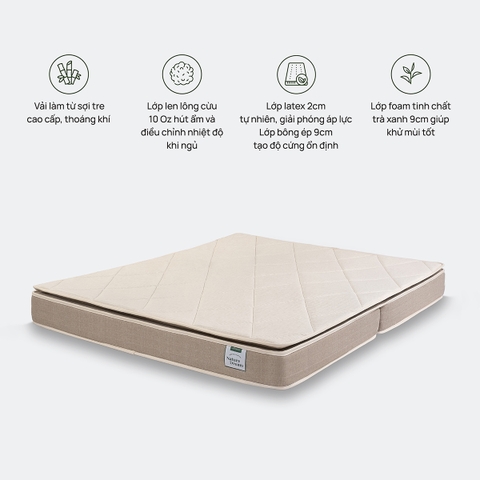 Đệm Foam Artemis Nature Dream Original