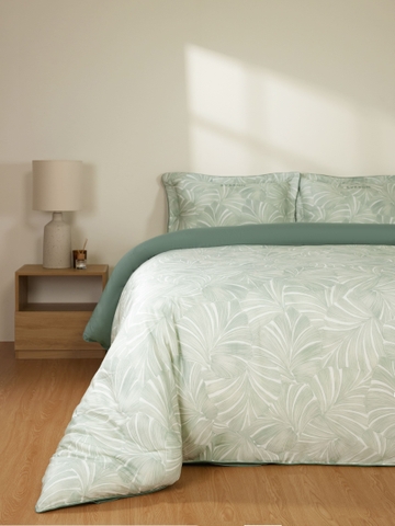 Monstera EPT 26015