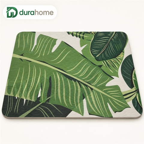 Kiến thức về Diatomite