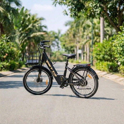 Xe đạp trợ lực VIETTA Cá Tính