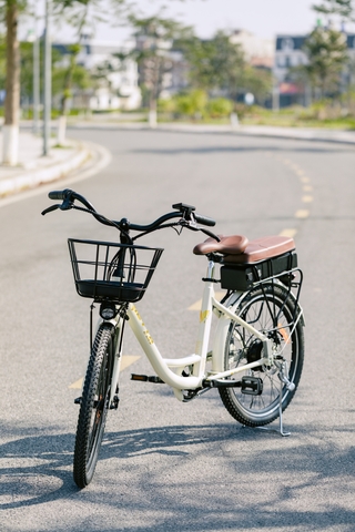 Xe đạp trợ lực VIETTA Mini – ảnh thực tế 1