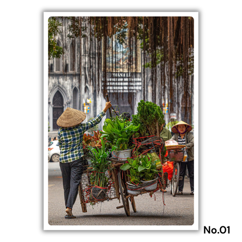 MARCUS LACEY - 'Plant Bike' Postcard