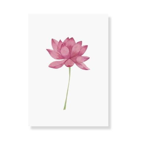 LAURIE DRAWS - 'Lotus Flower No.02' Art Print