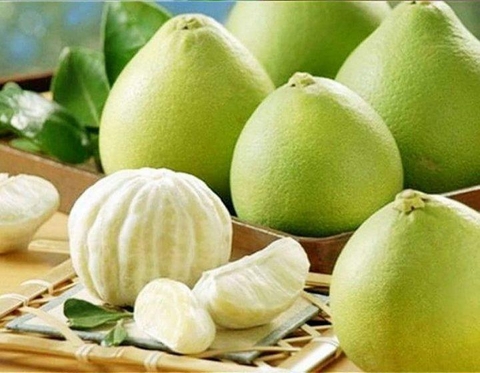 Bưởi Tân Triều