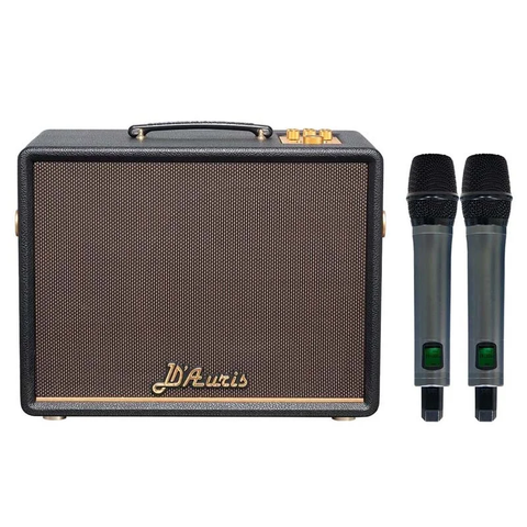 Loa Acnos D'Auris 200, Bass 25cm, Công suất 150W, Bluetooth 5.0, OTG (USB-C)
