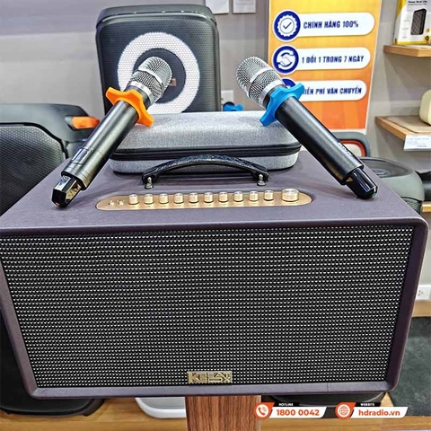 Loa Acnos Flac 36 Ver2, Bass 20cm, Công suất 200W, Bluetooth 5.0, Pin 4h-8h, Kèm 2 Tay Mic