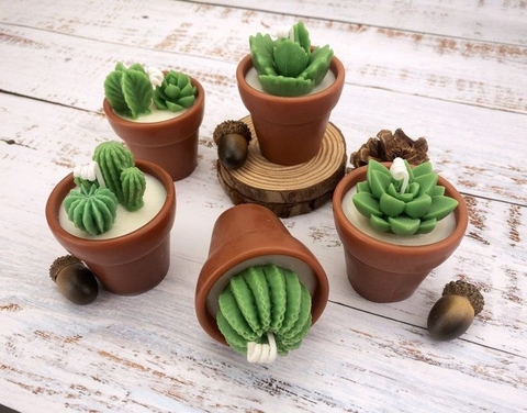 Nến thơm Xương rồng mini