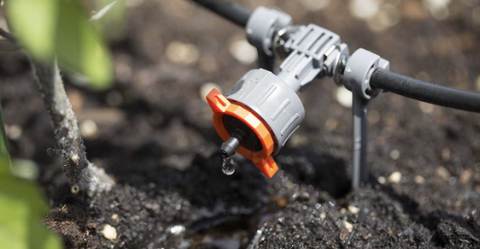 Hệ thống tưới nhỏ giọt là gì? Ưu, nhược điểm và những điều cần biết
