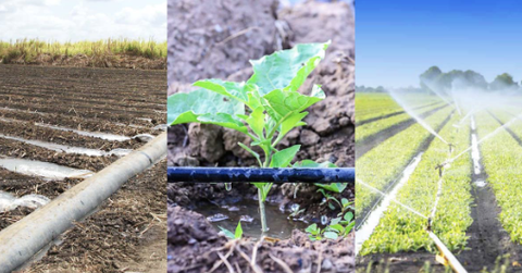 Cách tính toán, thiết kế hệ thống tưới phù hợp điều kiện canh tác