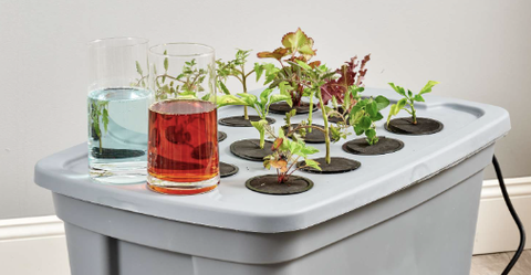 Cách tính dung dịch dinh dưỡng cho tưới bón và thủy canh