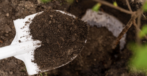 Chất hữu cơ trong đất là gì? Cách tính hàm lượng chất hữu cơ trong đất