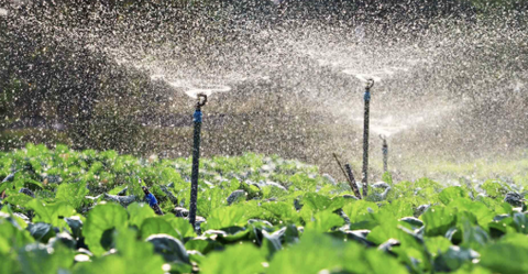 Tiêu chuẩn đánh giá chất lượng nước tưới cây