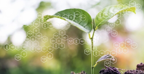 Phân biệt chất dinh dưỡng đa lượng và chất dinh dưỡng vi lượng