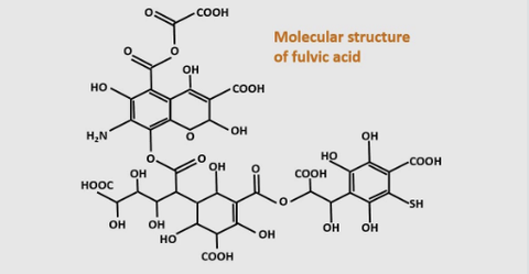 Lợi ích của Axit Fulvic đối với cây trồng