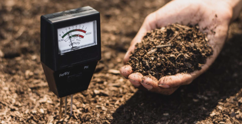 Cách tăng độ pH cho đất chính xác và hiệu quả