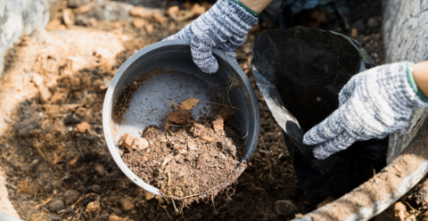 Phân hữu cơ: Khái niệm, lợi ích và tiêu chuẩn đánh giá chất lượng