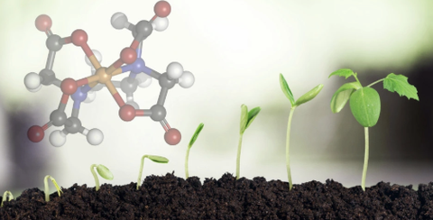 Chelate tổng hợp và ứng dụng trong sản xuất phân bón