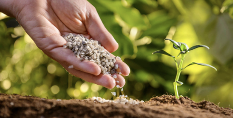 Tầm quan trọng và lợi ích của Chelate trong dinh dưỡng cây trồng