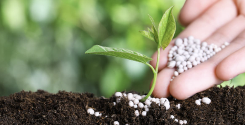 Công thức tính NPK và ví dụ minh họa