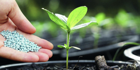 Phân biệt các sản phẩm Phosphorus, Phosphate, Phosphite và Phosphonate