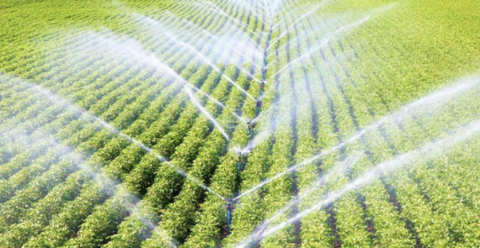 5 Lưu ý quan trọng khi thiết kế hệ thống tưới cây