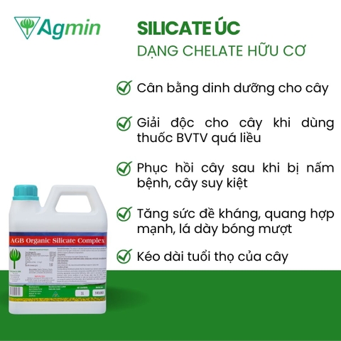 Phân bón NK - Trung - Vi lượng Silicate chelate hữu cơ - Điều hòa sinh trưởng