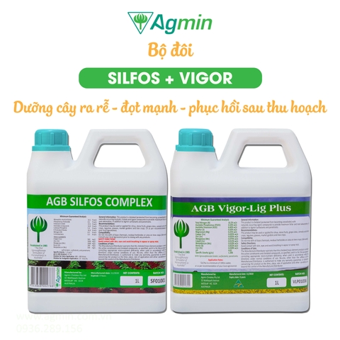 Bộ phân bón dưỡng cây ra rễ - đọt mạnh - phục hồi sau thu hoạch
