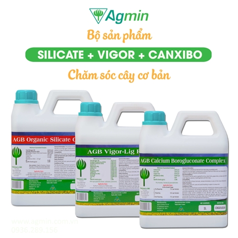 Bộ phân bón chăm sóc cây cơ bản