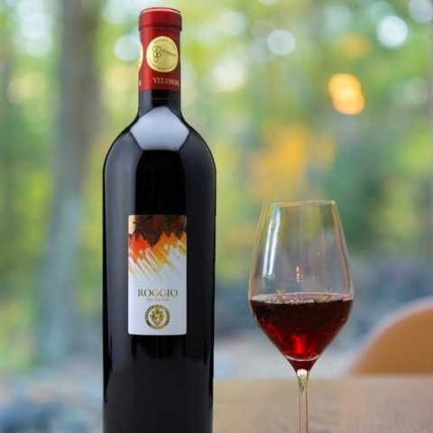Roggio del Filare Rosso Piceno Superiore DOC