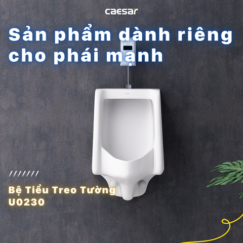 Bồn tiểu nam Caesar U0230 treo tường