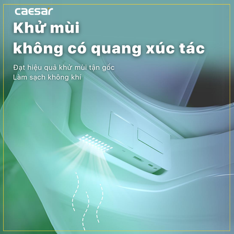 Nắp Bồn Cầu Điện Tử CAESAR TAF512H Đa Năng
