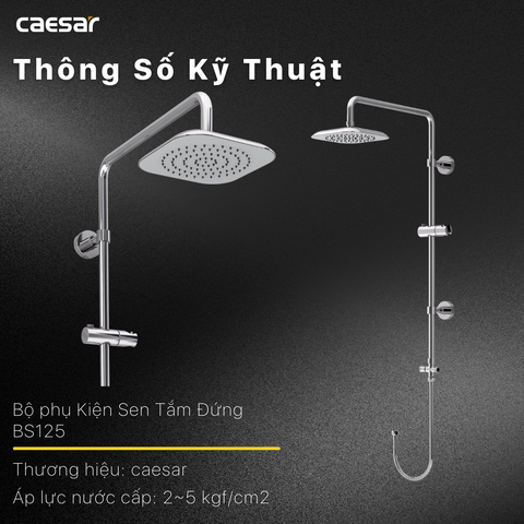 Thân cây sen tắm đứng nóng lạnh Caesar BS125