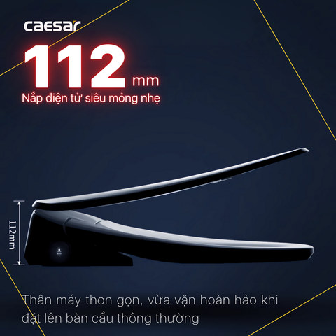 Nắp Bồn Cầu Điện Tử Caesaer TAF710H