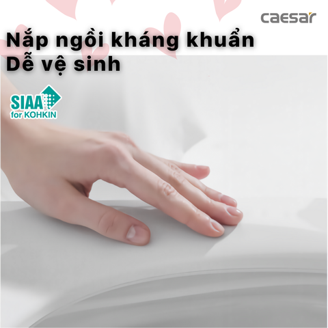 Nắp Bàn Cầu Điện Tử Caesar TAF400H Đa Năng