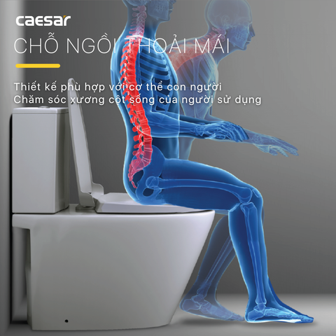 Bồn Cầu CAESAR CD1342 2 Khối Nắp Êm