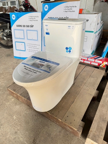 Bồn cầu 1 khối Aqua C-43