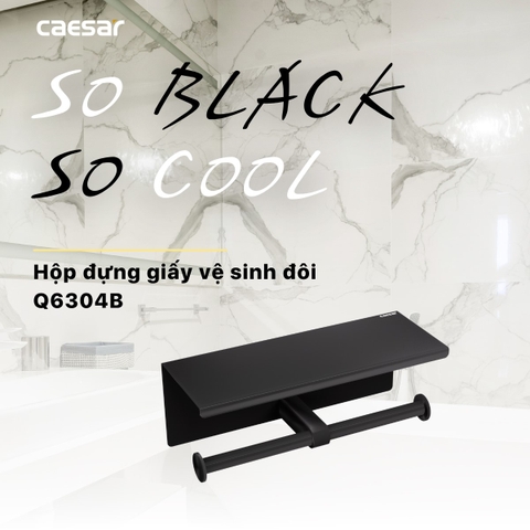 Hộp đựng giấy vệ sinh đôi có kệ Caesar Q6304B màu đen