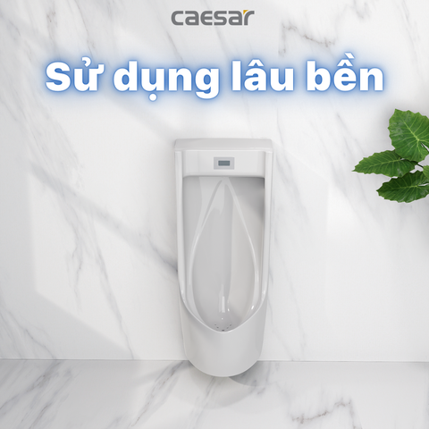 Bồn tiểu nam Caesar UA0283 treo tường + xả tiểu cảm ứng