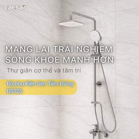 Thân cây sen tắm đứng nóng lạnh Caesar BS125